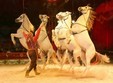 circus international budapesta