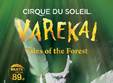 cirque de soleil varekai