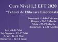 cluj curs nivel 1 2 tehnici de eliberare emotionala eft 