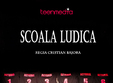  coala ludica
