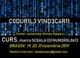 codurile vindecarii curs brasov