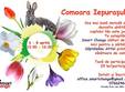comoara iepura ului vanatoare de comori