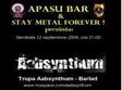 concert aabsynthum