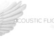 concert acoustic flight w mihai todoran