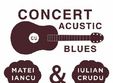 concert acustic blues matei iancu iulian crudu