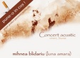 concert acustic in corvinus pub