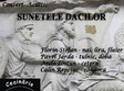 concert acustic sunetele dacilor