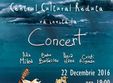 concert ada milea
