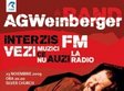 concert ag weinberger band good morning mr blues