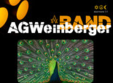 concert ag weinberger band in godot cafe