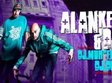 concert alan kepa la timisoara