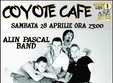 concert alin pascal band in coyote cafe