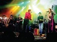 concert amaro del in godot cafe