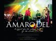 concert amaro del la godot cafe