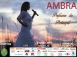 concert ambra