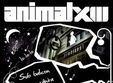 concert animal x in centrul vechi
