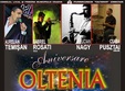 concert aniversar oltenia big band