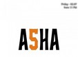 concert asha tribute girls in club tribute din bucuresti