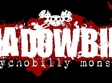 concert ati edge and the shadowbirds 