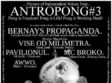 concert awwo si mc broko in timisoara