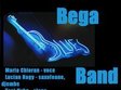 concert bega blues band arad