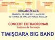 concert big band in parcul rozelor