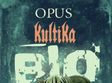 concert bio kultika si opus timisoara