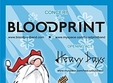 concert blood print in la tevi pub din cluj