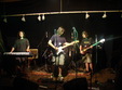 concert blue pulse in big mamou