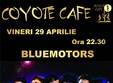 concert bluemotors la coyote cafe