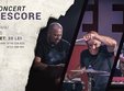 concert bluescore