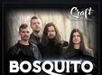 concert bosquito craft brewpub rooftop