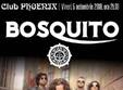concert bosquito