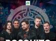 concert bosquito