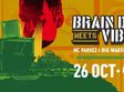 concert brain damage meets vibronics la atelierul de productie