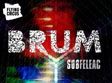 concert brum in cluj napoca