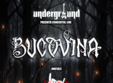 concert bucovina