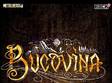 concert bucovina la arenele romane