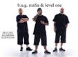 concert bug mafia in brazi