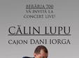 concert calin lupu