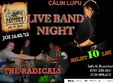 concert calin lupu si the radicals
