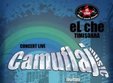 concert camuflaj in timisoara