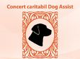 concert caritabil dog assist la cluj napoca
