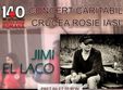 concert caritabil emeric imre