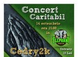 concert caritabil in elephant pub