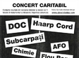 concert caritabil in kulturhaus