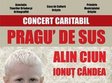 concert caritabil la orastie