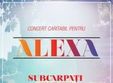 concert caritabil pentru alexa in the silver church