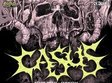 concert casus sheol 