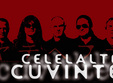 concert celelalte cuvinte in timisoara